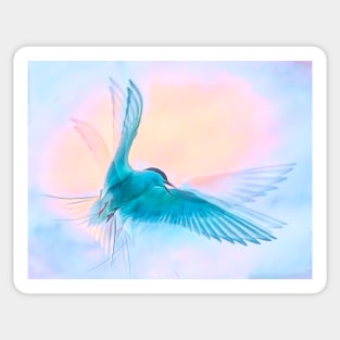 Ethereal Arctic Tern Sticker